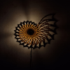3D Shadow Nautilus Night Lamp