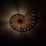 3D Shadow Nautilus Night Lamp